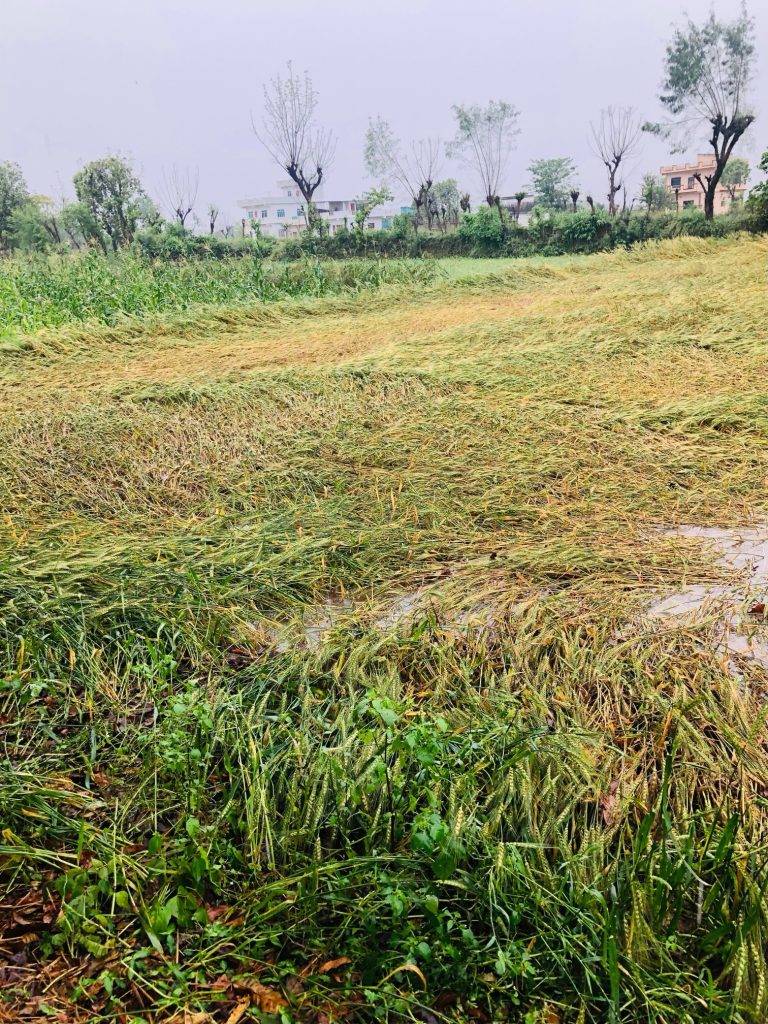 Farmer Loss 2026-03-21 (1)