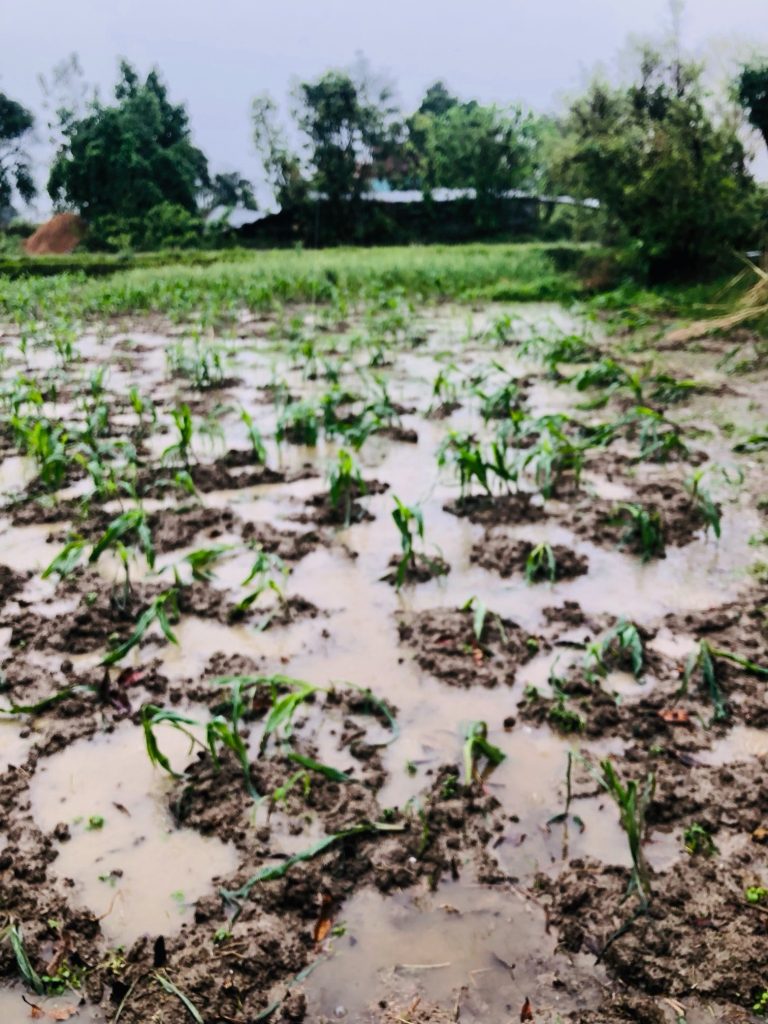 Farmer Loss 2026-03-21 (2)